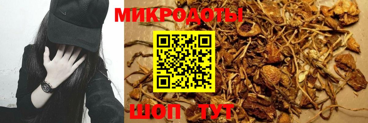 Галлюциногенные грибы MAGIC MUSHROOMS  Вход с VPN  Заводоуковск 