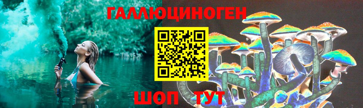 Галлюциногенные грибы GOLDEN TEACHER Заводоуковск